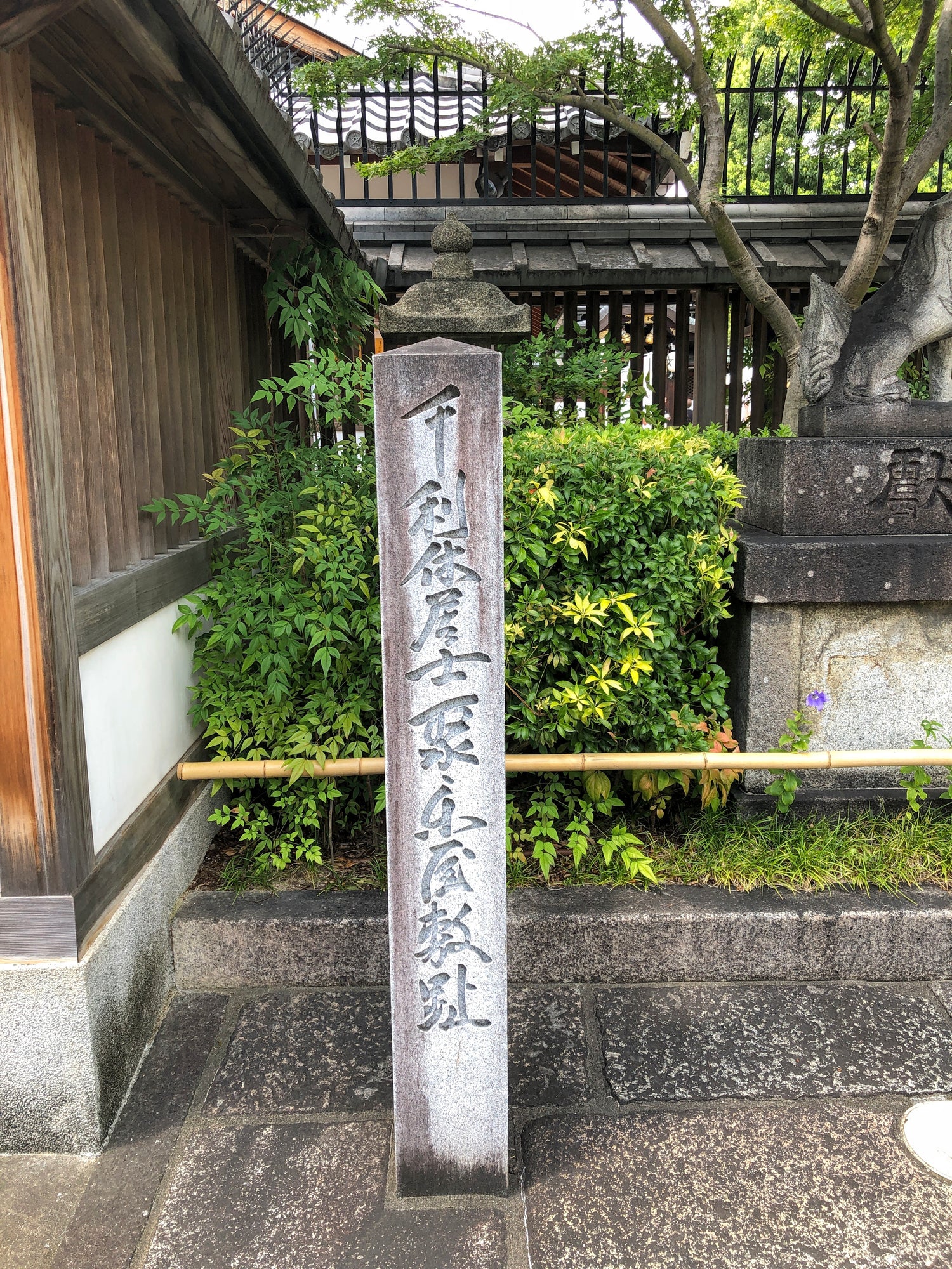 Image with text section