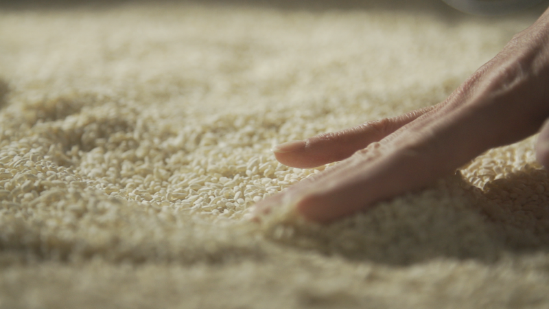 KOJI BARISTA EDITION (1kg)