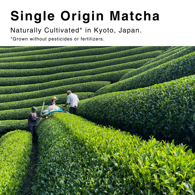 Single Origin Ceremonial Matcha