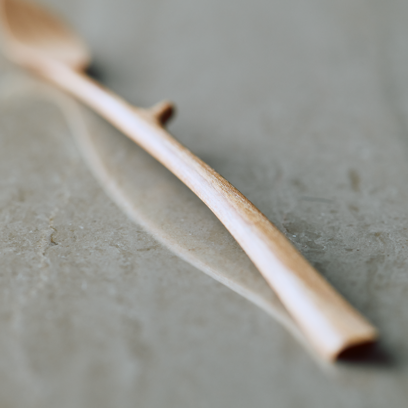 Chashaku Wooden Spoon - "Leaf" (Zenkyu Exclusive)