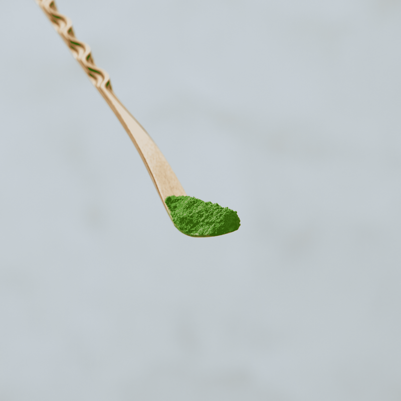 Chashaku Wooden Spoon - "Nami" (Zenkyu Exclusive)