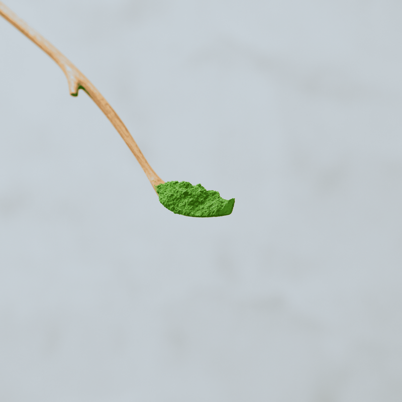 Chashaku Wooden Spoon - "Leaf" (Zenkyu Exclusive)