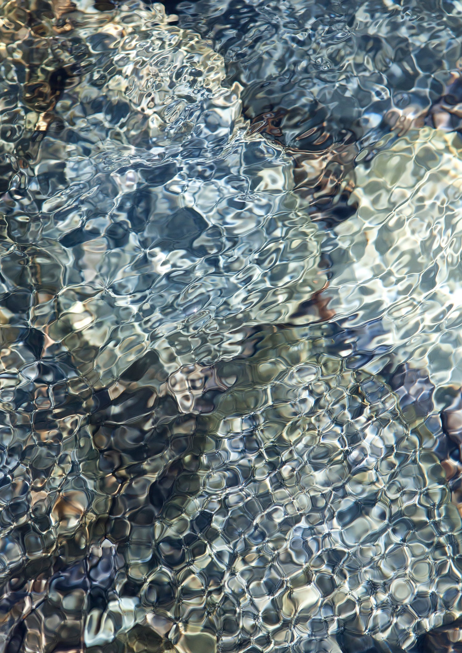 Image with text section