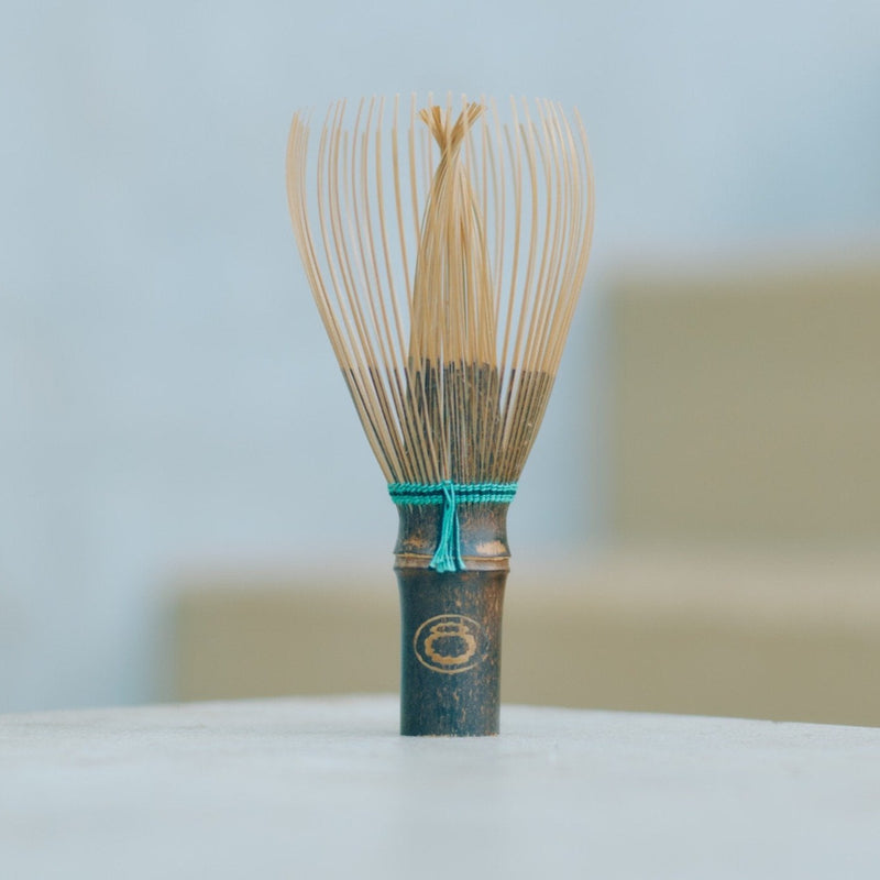 Chasen Bamboo Whisk - Mastercrafted in Nara (Zenkyu Exclusive)